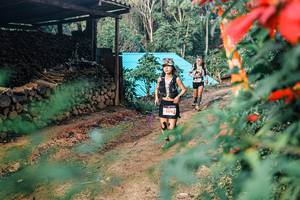 BIB: 
                            <button type="button" onclick="openModal(25292416)" class="btn btn-primary btn-sm float-right btn-popup" data-toggle="modal" data-target=".modal-high-quality">
                        <i class="fas fa-shopping-cart"></i> Add to Cart
                    </button>
                                            <button type="button" onclick="isThisMe(25292416, true)" class="btn btn-success btn-sm float-right btn-popup btn-isme hidden" data-toggle="tooltip" data-placement="bottom" title="นี่คือรูปของคุณใช่ไหม คลิกที่นี่เพื่อเอาเข้าอัลบั้ม">
                        <i class="fas fa-plus"></i> Add to album
                    </button>
                    <button type="button" onclick="isThisMe(25292416, false)" class="btn btn-warning btn-sm float-right btn-popup btn-isnotme hidden">
                        <i class="fas fa-ban"></i> Remove from album
                    </button>