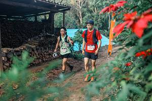 BIB: 
                            <button type="button" onclick="openModal(25291811)" class="btn btn-primary btn-sm float-right btn-popup" data-toggle="modal" data-target=".modal-high-quality">
                        <i class="fas fa-shopping-cart"></i> Add to Cart
                    </button>
                                            <button type="button" onclick="isThisMe(25291811, true)" class="btn btn-success btn-sm float-right btn-popup btn-isme hidden" data-toggle="tooltip" data-placement="bottom" title="นี่คือรูปของคุณใช่ไหม คลิกที่นี่เพื่อเอาเข้าอัลบั้ม">
                        <i class="fas fa-plus"></i> Add to album
                    </button>
                    <button type="button" onclick="isThisMe(25291811, false)" class="btn btn-warning btn-sm float-right btn-popup btn-isnotme hidden">
                        <i class="fas fa-ban"></i> Remove from album
                    </button>