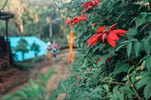 BIB: 
                            <button type="button" onclick="openModal(25291444)" class="btn btn-primary btn-sm float-right btn-popup" data-toggle="modal" data-target=".modal-high-quality">
                        <i class="fas fa-shopping-cart"></i> Add to Cart
                    </button>
                                            <button type="button" onclick="isThisMe(25291444, true)" class="btn btn-success btn-sm float-right btn-popup btn-isme hidden" data-toggle="tooltip" data-placement="bottom" title="นี่คือรูปของคุณใช่ไหม คลิกที่นี่เพื่อเอาเข้าอัลบั้ม">
                        <i class="fas fa-plus"></i> Add to album
                    </button>
                    <button type="button" onclick="isThisMe(25291444, false)" class="btn btn-warning btn-sm float-right btn-popup btn-isnotme hidden">
                        <i class="fas fa-ban"></i> Remove from album
                    </button>