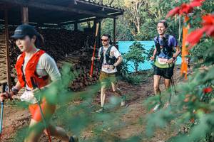 BIB: 
                            <button type="button" onclick="openModal(25291398)" class="btn btn-primary btn-sm float-right btn-popup" data-toggle="modal" data-target=".modal-high-quality">
                        <i class="fas fa-shopping-cart"></i> Add to Cart
                    </button>
                                            <button type="button" onclick="isThisMe(25291398, true)" class="btn btn-success btn-sm float-right btn-popup btn-isme hidden" data-toggle="tooltip" data-placement="bottom" title="นี่คือรูปของคุณใช่ไหม คลิกที่นี่เพื่อเอาเข้าอัลบั้ม">
                        <i class="fas fa-plus"></i> Add to album
                    </button>
                    <button type="button" onclick="isThisMe(25291398, false)" class="btn btn-warning btn-sm float-right btn-popup btn-isnotme hidden">
                        <i class="fas fa-ban"></i> Remove from album
                    </button>