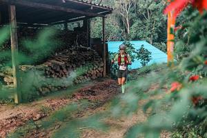 BIB: 
                            <button type="button" onclick="openModal(25292641)" class="btn btn-primary btn-sm float-right btn-popup" data-toggle="modal" data-target=".modal-high-quality">
                        <i class="fas fa-shopping-cart"></i> Add to Cart
                    </button>
                                            <button type="button" onclick="isThisMe(25292641, true)" class="btn btn-success btn-sm float-right btn-popup btn-isme hidden" data-toggle="tooltip" data-placement="bottom" title="นี่คือรูปของคุณใช่ไหม คลิกที่นี่เพื่อเอาเข้าอัลบั้ม">
                        <i class="fas fa-plus"></i> Add to album
                    </button>
                    <button type="button" onclick="isThisMe(25292641, false)" class="btn btn-warning btn-sm float-right btn-popup btn-isnotme hidden">
                        <i class="fas fa-ban"></i> Remove from album
                    </button>