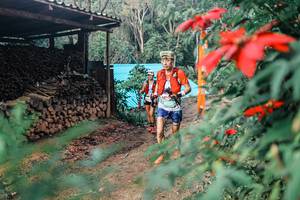 BIB: 
                            <button type="button" onclick="openModal(25292625)" class="btn btn-primary btn-sm float-right btn-popup" data-toggle="modal" data-target=".modal-high-quality">
                        <i class="fas fa-shopping-cart"></i> Add to Cart
                    </button>
                                            <button type="button" onclick="isThisMe(25292625, true)" class="btn btn-success btn-sm float-right btn-popup btn-isme hidden" data-toggle="tooltip" data-placement="bottom" title="นี่คือรูปของคุณใช่ไหม คลิกที่นี่เพื่อเอาเข้าอัลบั้ม">
                        <i class="fas fa-plus"></i> Add to album
                    </button>
                    <button type="button" onclick="isThisMe(25292625, false)" class="btn btn-warning btn-sm float-right btn-popup btn-isnotme hidden">
                        <i class="fas fa-ban"></i> Remove from album
                    </button>