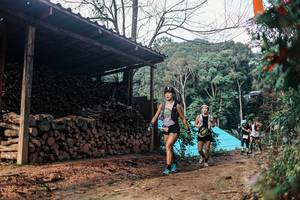 BIB: 
                            <button type="button" onclick="openModal(25293860)" class="btn btn-primary btn-sm float-right btn-popup" data-toggle="modal" data-target=".modal-high-quality">
                        <i class="fas fa-shopping-cart"></i> Add to Cart
                    </button>
                                            <button type="button" onclick="isThisMe(25293860, true)" class="btn btn-success btn-sm float-right btn-popup btn-isme hidden" data-toggle="tooltip" data-placement="bottom" title="นี่คือรูปของคุณใช่ไหม คลิกที่นี่เพื่อเอาเข้าอัลบั้ม">
                        <i class="fas fa-plus"></i> Add to album
                    </button>
                    <button type="button" onclick="isThisMe(25293860, false)" class="btn btn-warning btn-sm float-right btn-popup btn-isnotme hidden">
                        <i class="fas fa-ban"></i> Remove from album
                    </button>