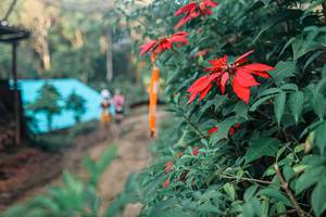 BIB: 
                            <button type="button" onclick="openModal(25291441)" class="btn btn-primary btn-sm float-right btn-popup" data-toggle="modal" data-target=".modal-high-quality">
                        <i class="fas fa-shopping-cart"></i> Add to Cart
                    </button>
                                            <button type="button" onclick="isThisMe(25291441, true)" class="btn btn-success btn-sm float-right btn-popup btn-isme hidden" data-toggle="tooltip" data-placement="bottom" title="นี่คือรูปของคุณใช่ไหม คลิกที่นี่เพื่อเอาเข้าอัลบั้ม">
                        <i class="fas fa-plus"></i> Add to album
                    </button>
                    <button type="button" onclick="isThisMe(25291441, false)" class="btn btn-warning btn-sm float-right btn-popup btn-isnotme hidden">
                        <i class="fas fa-ban"></i> Remove from album
                    </button>