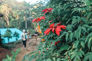 BIB: 
                            <button type="button" onclick="openModal(25291459)" class="btn btn-primary btn-sm float-right btn-popup" data-toggle="modal" data-target=".modal-high-quality">
                        <i class="fas fa-shopping-cart"></i> Add to Cart
                    </button>
                                            <button type="button" onclick="isThisMe(25291459, true)" class="btn btn-success btn-sm float-right btn-popup btn-isme hidden" data-toggle="tooltip" data-placement="bottom" title="นี่คือรูปของคุณใช่ไหม คลิกที่นี่เพื่อเอาเข้าอัลบั้ม">
                        <i class="fas fa-plus"></i> Add to album
                    </button>
                    <button type="button" onclick="isThisMe(25291459, false)" class="btn btn-warning btn-sm float-right btn-popup btn-isnotme hidden">
                        <i class="fas fa-ban"></i> Remove from album
                    </button>