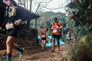 BIB: 
                            <button type="button" onclick="openModal(25293804)" class="btn btn-primary btn-sm float-right btn-popup" data-toggle="modal" data-target=".modal-high-quality">
                        <i class="fas fa-shopping-cart"></i> Add to Cart
                    </button>
                                            <button type="button" onclick="isThisMe(25293804, true)" class="btn btn-success btn-sm float-right btn-popup btn-isme hidden" data-toggle="tooltip" data-placement="bottom" title="นี่คือรูปของคุณใช่ไหม คลิกที่นี่เพื่อเอาเข้าอัลบั้ม">
                        <i class="fas fa-plus"></i> Add to album
                    </button>
                    <button type="button" onclick="isThisMe(25293804, false)" class="btn btn-warning btn-sm float-right btn-popup btn-isnotme hidden">
                        <i class="fas fa-ban"></i> Remove from album
                    </button>