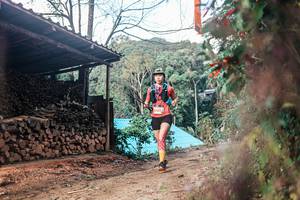 BIB: 
                            <button type="button" onclick="openModal(25292766)" class="btn btn-primary btn-sm float-right btn-popup" data-toggle="modal" data-target=".modal-high-quality">
                        <i class="fas fa-shopping-cart"></i> Add to Cart
                    </button>
                                            <button type="button" onclick="isThisMe(25292766, true)" class="btn btn-success btn-sm float-right btn-popup btn-isme hidden" data-toggle="tooltip" data-placement="bottom" title="นี่คือรูปของคุณใช่ไหม คลิกที่นี่เพื่อเอาเข้าอัลบั้ม">
                        <i class="fas fa-plus"></i> Add to album
                    </button>
                    <button type="button" onclick="isThisMe(25292766, false)" class="btn btn-warning btn-sm float-right btn-popup btn-isnotme hidden">
                        <i class="fas fa-ban"></i> Remove from album
                    </button>