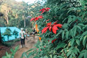 BIB: 
                            <button type="button" onclick="openModal(25291454)" class="btn btn-primary btn-sm float-right btn-popup" data-toggle="modal" data-target=".modal-high-quality">
                        <i class="fas fa-shopping-cart"></i> Add to Cart
                    </button>
                                            <button type="button" onclick="isThisMe(25291454, true)" class="btn btn-success btn-sm float-right btn-popup btn-isme hidden" data-toggle="tooltip" data-placement="bottom" title="นี่คือรูปของคุณใช่ไหม คลิกที่นี่เพื่อเอาเข้าอัลบั้ม">
                        <i class="fas fa-plus"></i> Add to album
                    </button>
                    <button type="button" onclick="isThisMe(25291454, false)" class="btn btn-warning btn-sm float-right btn-popup btn-isnotme hidden">
                        <i class="fas fa-ban"></i> Remove from album
                    </button>