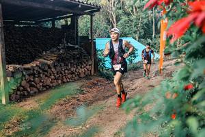 BIB: 
                            <button type="button" onclick="openModal(25292446)" class="btn btn-primary btn-sm float-right btn-popup" data-toggle="modal" data-target=".modal-high-quality">
                        <i class="fas fa-shopping-cart"></i> Add to Cart
                    </button>
                                            <button type="button" onclick="isThisMe(25292446, true)" class="btn btn-success btn-sm float-right btn-popup btn-isme hidden" data-toggle="tooltip" data-placement="bottom" title="นี่คือรูปของคุณใช่ไหม คลิกที่นี่เพื่อเอาเข้าอัลบั้ม">
                        <i class="fas fa-plus"></i> Add to album
                    </button>
                    <button type="button" onclick="isThisMe(25292446, false)" class="btn btn-warning btn-sm float-right btn-popup btn-isnotme hidden">
                        <i class="fas fa-ban"></i> Remove from album
                    </button>