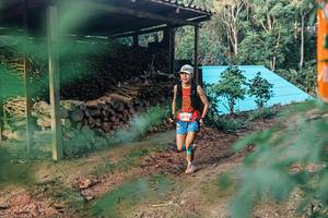 BIB: 
                            <button type="button" onclick="openModal(25292465)" class="btn btn-primary btn-sm float-right btn-popup" data-toggle="modal" data-target=".modal-high-quality">
                        <i class="fas fa-shopping-cart"></i> Add to Cart
                    </button>
                                            <button type="button" onclick="isThisMe(25292465, true)" class="btn btn-success btn-sm float-right btn-popup btn-isme hidden" data-toggle="tooltip" data-placement="bottom" title="นี่คือรูปของคุณใช่ไหม คลิกที่นี่เพื่อเอาเข้าอัลบั้ม">
                        <i class="fas fa-plus"></i> Add to album
                    </button>
                    <button type="button" onclick="isThisMe(25292465, false)" class="btn btn-warning btn-sm float-right btn-popup btn-isnotme hidden">
                        <i class="fas fa-ban"></i> Remove from album
                    </button>