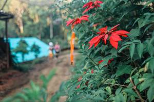 BIB: 
                            <button type="button" onclick="openModal(25291439)" class="btn btn-primary btn-sm float-right btn-popup" data-toggle="modal" data-target=".modal-high-quality">
                        <i class="fas fa-shopping-cart"></i> Add to Cart
                    </button>
                                            <button type="button" onclick="isThisMe(25291439, true)" class="btn btn-success btn-sm float-right btn-popup btn-isme hidden" data-toggle="tooltip" data-placement="bottom" title="นี่คือรูปของคุณใช่ไหม คลิกที่นี่เพื่อเอาเข้าอัลบั้ม">
                        <i class="fas fa-plus"></i> Add to album
                    </button>
                    <button type="button" onclick="isThisMe(25291439, false)" class="btn btn-warning btn-sm float-right btn-popup btn-isnotme hidden">
                        <i class="fas fa-ban"></i> Remove from album
                    </button>