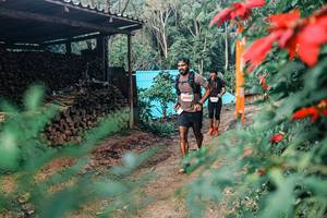 BIB: 
                            <button type="button" onclick="openModal(25292495)" class="btn btn-primary btn-sm float-right btn-popup" data-toggle="modal" data-target=".modal-high-quality">
                        <i class="fas fa-shopping-cart"></i> Add to Cart
                    </button>
                                            <button type="button" onclick="isThisMe(25292495, true)" class="btn btn-success btn-sm float-right btn-popup btn-isme hidden" data-toggle="tooltip" data-placement="bottom" title="นี่คือรูปของคุณใช่ไหม คลิกที่นี่เพื่อเอาเข้าอัลบั้ม">
                        <i class="fas fa-plus"></i> Add to album
                    </button>
                    <button type="button" onclick="isThisMe(25292495, false)" class="btn btn-warning btn-sm float-right btn-popup btn-isnotme hidden">
                        <i class="fas fa-ban"></i> Remove from album
                    </button>