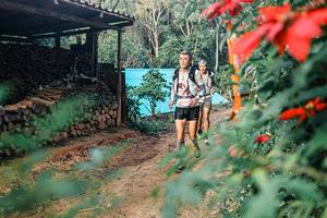 BIB: 
                            <button type="button" onclick="openModal(25292428)" class="btn btn-primary btn-sm float-right btn-popup" data-toggle="modal" data-target=".modal-high-quality">
                        <i class="fas fa-shopping-cart"></i> Add to Cart
                    </button>
                                            <button type="button" onclick="isThisMe(25292428, true)" class="btn btn-success btn-sm float-right btn-popup btn-isme hidden" data-toggle="tooltip" data-placement="bottom" title="นี่คือรูปของคุณใช่ไหม คลิกที่นี่เพื่อเอาเข้าอัลบั้ม">
                        <i class="fas fa-plus"></i> Add to album
                    </button>
                    <button type="button" onclick="isThisMe(25292428, false)" class="btn btn-warning btn-sm float-right btn-popup btn-isnotme hidden">
                        <i class="fas fa-ban"></i> Remove from album
                    </button>