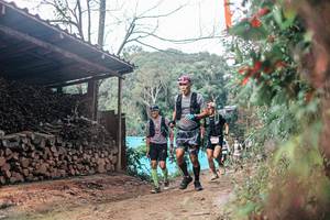 BIB: 
                            <button type="button" onclick="openModal(25295050)" class="btn btn-primary btn-sm float-right btn-popup" data-toggle="modal" data-target=".modal-high-quality">
                        <i class="fas fa-shopping-cart"></i> Add to Cart
                    </button>
                                            <button type="button" onclick="isThisMe(25295050, true)" class="btn btn-success btn-sm float-right btn-popup btn-isme hidden" data-toggle="tooltip" data-placement="bottom" title="นี่คือรูปของคุณใช่ไหม คลิกที่นี่เพื่อเอาเข้าอัลบั้ม">
                        <i class="fas fa-plus"></i> Add to album
                    </button>
                    <button type="button" onclick="isThisMe(25295050, false)" class="btn btn-warning btn-sm float-right btn-popup btn-isnotme hidden">
                        <i class="fas fa-ban"></i> Remove from album
                    </button>