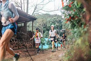 BIB: 
                            <button type="button" onclick="openModal(25295269)" class="btn btn-primary btn-sm float-right btn-popup" data-toggle="modal" data-target=".modal-high-quality">
                        <i class="fas fa-shopping-cart"></i> Add to Cart
                    </button>
                                            <button type="button" onclick="isThisMe(25295269, true)" class="btn btn-success btn-sm float-right btn-popup btn-isme hidden" data-toggle="tooltip" data-placement="bottom" title="นี่คือรูปของคุณใช่ไหม คลิกที่นี่เพื่อเอาเข้าอัลบั้ม">
                        <i class="fas fa-plus"></i> Add to album
                    </button>
                    <button type="button" onclick="isThisMe(25295269, false)" class="btn btn-warning btn-sm float-right btn-popup btn-isnotme hidden">
                        <i class="fas fa-ban"></i> Remove from album
                    </button>