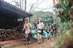 BIB: 
                            <button type="button" onclick="openModal(25295277)" class="btn btn-primary btn-sm float-right btn-popup" data-toggle="modal" data-target=".modal-high-quality">
                        <i class="fas fa-shopping-cart"></i> Add to Cart
                    </button>
                                            <button type="button" onclick="isThisMe(25295277, true)" class="btn btn-success btn-sm float-right btn-popup btn-isme hidden" data-toggle="tooltip" data-placement="bottom" title="นี่คือรูปของคุณใช่ไหม คลิกที่นี่เพื่อเอาเข้าอัลบั้ม">
                        <i class="fas fa-plus"></i> Add to album
                    </button>
                    <button type="button" onclick="isThisMe(25295277, false)" class="btn btn-warning btn-sm float-right btn-popup btn-isnotme hidden">
                        <i class="fas fa-ban"></i> Remove from album
                    </button>