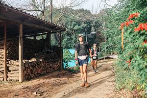 BIB: 
                            <button type="button" onclick="openModal(25297437)" class="btn btn-primary btn-sm float-right btn-popup" data-toggle="modal" data-target=".modal-high-quality">
                        <i class="fas fa-shopping-cart"></i> Add to Cart
                    </button>
                                            <button type="button" onclick="isThisMe(25297437, true)" class="btn btn-success btn-sm float-right btn-popup btn-isme hidden" data-toggle="tooltip" data-placement="bottom" title="นี่คือรูปของคุณใช่ไหม คลิกที่นี่เพื่อเอาเข้าอัลบั้ม">
                        <i class="fas fa-plus"></i> Add to album
                    </button>
                    <button type="button" onclick="isThisMe(25297437, false)" class="btn btn-warning btn-sm float-right btn-popup btn-isnotme hidden">
                        <i class="fas fa-ban"></i> Remove from album
                    </button>