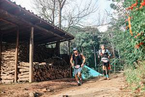 BIB: 
                            <button type="button" onclick="openModal(25296971)" class="btn btn-primary btn-sm float-right btn-popup" data-toggle="modal" data-target=".modal-high-quality">
                        <i class="fas fa-shopping-cart"></i> Add to Cart
                    </button>
                                            <button type="button" onclick="isThisMe(25296971, true)" class="btn btn-success btn-sm float-right btn-popup btn-isme hidden" data-toggle="tooltip" data-placement="bottom" title="นี่คือรูปของคุณใช่ไหม คลิกที่นี่เพื่อเอาเข้าอัลบั้ม">
                        <i class="fas fa-plus"></i> Add to album
                    </button>
                    <button type="button" onclick="isThisMe(25296971, false)" class="btn btn-warning btn-sm float-right btn-popup btn-isnotme hidden">
                        <i class="fas fa-ban"></i> Remove from album
                    </button>