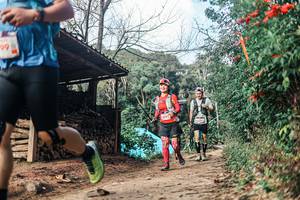 BIB: 
                            <button type="button" onclick="openModal(25296850)" class="btn btn-primary btn-sm float-right btn-popup" data-toggle="modal" data-target=".modal-high-quality">
                        <i class="fas fa-shopping-cart"></i> Add to Cart
                    </button>
                                            <button type="button" onclick="isThisMe(25296850, true)" class="btn btn-success btn-sm float-right btn-popup btn-isme hidden" data-toggle="tooltip" data-placement="bottom" title="นี่คือรูปของคุณใช่ไหม คลิกที่นี่เพื่อเอาเข้าอัลบั้ม">
                        <i class="fas fa-plus"></i> Add to album
                    </button>
                    <button type="button" onclick="isThisMe(25296850, false)" class="btn btn-warning btn-sm float-right btn-popup btn-isnotme hidden">
                        <i class="fas fa-ban"></i> Remove from album
                    </button>