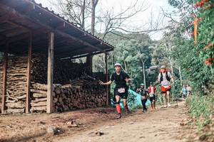 BIB: 
                            <button type="button" onclick="openModal(25296832)" class="btn btn-primary btn-sm float-right btn-popup" data-toggle="modal" data-target=".modal-high-quality">
                        <i class="fas fa-shopping-cart"></i> Add to Cart
                    </button>
                                            <button type="button" onclick="isThisMe(25296832, true)" class="btn btn-success btn-sm float-right btn-popup btn-isme hidden" data-toggle="tooltip" data-placement="bottom" title="นี่คือรูปของคุณใช่ไหม คลิกที่นี่เพื่อเอาเข้าอัลบั้ม">
                        <i class="fas fa-plus"></i> Add to album
                    </button>
                    <button type="button" onclick="isThisMe(25296832, false)" class="btn btn-warning btn-sm float-right btn-popup btn-isnotme hidden">
                        <i class="fas fa-ban"></i> Remove from album
                    </button>