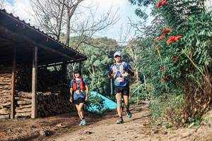 BIB: 
                            <button type="button" onclick="openModal(25296702)" class="btn btn-primary btn-sm float-right btn-popup" data-toggle="modal" data-target=".modal-high-quality">
                        <i class="fas fa-shopping-cart"></i> Add to Cart
                    </button>
                                            <button type="button" onclick="isThisMe(25296702, true)" class="btn btn-success btn-sm float-right btn-popup btn-isme hidden" data-toggle="tooltip" data-placement="bottom" title="นี่คือรูปของคุณใช่ไหม คลิกที่นี่เพื่อเอาเข้าอัลบั้ม">
                        <i class="fas fa-plus"></i> Add to album
                    </button>
                    <button type="button" onclick="isThisMe(25296702, false)" class="btn btn-warning btn-sm float-right btn-popup btn-isnotme hidden">
                        <i class="fas fa-ban"></i> Remove from album
                    </button>