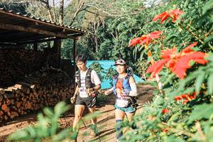 BIB: 
                            <button type="button" onclick="openModal(25297233)" class="btn btn-primary btn-sm float-right btn-popup" data-toggle="modal" data-target=".modal-high-quality">
                        <i class="fas fa-shopping-cart"></i> Add to Cart
                    </button>
                                            <button type="button" onclick="isThisMe(25297233, true)" class="btn btn-success btn-sm float-right btn-popup btn-isme hidden" data-toggle="tooltip" data-placement="bottom" title="นี่คือรูปของคุณใช่ไหม คลิกที่นี่เพื่อเอาเข้าอัลบั้ม">
                        <i class="fas fa-plus"></i> Add to album
                    </button>
                    <button type="button" onclick="isThisMe(25297233, false)" class="btn btn-warning btn-sm float-right btn-popup btn-isnotme hidden">
                        <i class="fas fa-ban"></i> Remove from album
                    </button>