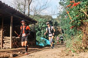 BIB: 
                            <button type="button" onclick="openModal(25297135)" class="btn btn-primary btn-sm float-right btn-popup" data-toggle="modal" data-target=".modal-high-quality">
                        <i class="fas fa-shopping-cart"></i> Add to Cart
                    </button>
                                            <button type="button" onclick="isThisMe(25297135, true)" class="btn btn-success btn-sm float-right btn-popup btn-isme hidden" data-toggle="tooltip" data-placement="bottom" title="นี่คือรูปของคุณใช่ไหม คลิกที่นี่เพื่อเอาเข้าอัลบั้ม">
                        <i class="fas fa-plus"></i> Add to album
                    </button>
                    <button type="button" onclick="isThisMe(25297135, false)" class="btn btn-warning btn-sm float-right btn-popup btn-isnotme hidden">
                        <i class="fas fa-ban"></i> Remove from album
                    </button>