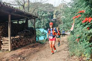 BIB: 
                            <button type="button" onclick="openModal(25297323)" class="btn btn-primary btn-sm float-right btn-popup" data-toggle="modal" data-target=".modal-high-quality">
                        <i class="fas fa-shopping-cart"></i> Add to Cart
                    </button>
                                            <button type="button" onclick="isThisMe(25297323, true)" class="btn btn-success btn-sm float-right btn-popup btn-isme hidden" data-toggle="tooltip" data-placement="bottom" title="นี่คือรูปของคุณใช่ไหม คลิกที่นี่เพื่อเอาเข้าอัลบั้ม">
                        <i class="fas fa-plus"></i> Add to album
                    </button>
                    <button type="button" onclick="isThisMe(25297323, false)" class="btn btn-warning btn-sm float-right btn-popup btn-isnotme hidden">
                        <i class="fas fa-ban"></i> Remove from album
                    </button>