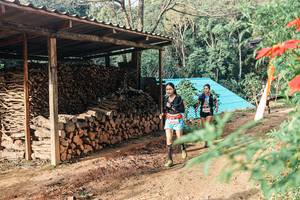 BIB: 
                            <button type="button" onclick="openModal(25297245)" class="btn btn-primary btn-sm float-right btn-popup" data-toggle="modal" data-target=".modal-high-quality">
                        <i class="fas fa-shopping-cart"></i> Add to Cart
                    </button>
                                            <button type="button" onclick="isThisMe(25297245, true)" class="btn btn-success btn-sm float-right btn-popup btn-isme hidden" data-toggle="tooltip" data-placement="bottom" title="นี่คือรูปของคุณใช่ไหม คลิกที่นี่เพื่อเอาเข้าอัลบั้ม">
                        <i class="fas fa-plus"></i> Add to album
                    </button>
                    <button type="button" onclick="isThisMe(25297245, false)" class="btn btn-warning btn-sm float-right btn-popup btn-isnotme hidden">
                        <i class="fas fa-ban"></i> Remove from album
                    </button>