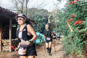 BIB: 
                            <button type="button" onclick="openModal(25297291)" class="btn btn-primary btn-sm float-right btn-popup" data-toggle="modal" data-target=".modal-high-quality">
                        <i class="fas fa-shopping-cart"></i> Add to Cart
                    </button>
                                            <button type="button" onclick="isThisMe(25297291, true)" class="btn btn-success btn-sm float-right btn-popup btn-isme hidden" data-toggle="tooltip" data-placement="bottom" title="นี่คือรูปของคุณใช่ไหม คลิกที่นี่เพื่อเอาเข้าอัลบั้ม">
                        <i class="fas fa-plus"></i> Add to album
                    </button>
                    <button type="button" onclick="isThisMe(25297291, false)" class="btn btn-warning btn-sm float-right btn-popup btn-isnotme hidden">
                        <i class="fas fa-ban"></i> Remove from album
                    </button>