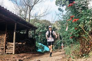 BIB: 
                            <button type="button" onclick="openModal(25296752)" class="btn btn-primary btn-sm float-right btn-popup" data-toggle="modal" data-target=".modal-high-quality">
                        <i class="fas fa-shopping-cart"></i> Add to Cart
                    </button>
                                            <button type="button" onclick="isThisMe(25296752, true)" class="btn btn-success btn-sm float-right btn-popup btn-isme hidden" data-toggle="tooltip" data-placement="bottom" title="นี่คือรูปของคุณใช่ไหม คลิกที่นี่เพื่อเอาเข้าอัลบั้ม">
                        <i class="fas fa-plus"></i> Add to album
                    </button>
                    <button type="button" onclick="isThisMe(25296752, false)" class="btn btn-warning btn-sm float-right btn-popup btn-isnotme hidden">
                        <i class="fas fa-ban"></i> Remove from album
                    </button>