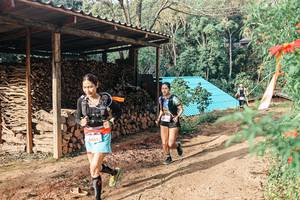 BIB: 
                            <button type="button" onclick="openModal(25297249)" class="btn btn-primary btn-sm float-right btn-popup" data-toggle="modal" data-target=".modal-high-quality">
                        <i class="fas fa-shopping-cart"></i> Add to Cart
                    </button>
                                            <button type="button" onclick="isThisMe(25297249, true)" class="btn btn-success btn-sm float-right btn-popup btn-isme hidden" data-toggle="tooltip" data-placement="bottom" title="นี่คือรูปของคุณใช่ไหม คลิกที่นี่เพื่อเอาเข้าอัลบั้ม">
                        <i class="fas fa-plus"></i> Add to album
                    </button>
                    <button type="button" onclick="isThisMe(25297249, false)" class="btn btn-warning btn-sm float-right btn-popup btn-isnotme hidden">
                        <i class="fas fa-ban"></i> Remove from album
                    </button>