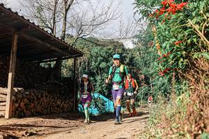 BIB: 
                            <button type="button" onclick="openModal(25311851)" class="btn btn-primary btn-sm float-right btn-popup" data-toggle="modal" data-target=".modal-high-quality">
                        <i class="fas fa-shopping-cart"></i> Add to Cart
                    </button>
                                            <button type="button" onclick="isThisMe(25311851, true)" class="btn btn-success btn-sm float-right btn-popup btn-isme hidden" data-toggle="tooltip" data-placement="bottom" title="นี่คือรูปของคุณใช่ไหม คลิกที่นี่เพื่อเอาเข้าอัลบั้ม">
                        <i class="fas fa-plus"></i> Add to album
                    </button>
                    <button type="button" onclick="isThisMe(25311851, false)" class="btn btn-warning btn-sm float-right btn-popup btn-isnotme hidden">
                        <i class="fas fa-ban"></i> Remove from album
                    </button>