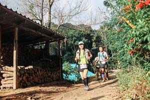 BIB: 
                            <button type="button" onclick="openModal(25300648)" class="btn btn-primary btn-sm float-right btn-popup" data-toggle="modal" data-target=".modal-high-quality">
                        <i class="fas fa-shopping-cart"></i> Add to Cart
                    </button>
                                            <button type="button" onclick="isThisMe(25300648, true)" class="btn btn-success btn-sm float-right btn-popup btn-isme hidden" data-toggle="tooltip" data-placement="bottom" title="นี่คือรูปของคุณใช่ไหม คลิกที่นี่เพื่อเอาเข้าอัลบั้ม">
                        <i class="fas fa-plus"></i> Add to album
                    </button>
                    <button type="button" onclick="isThisMe(25300648, false)" class="btn btn-warning btn-sm float-right btn-popup btn-isnotme hidden">
                        <i class="fas fa-ban"></i> Remove from album
                    </button>