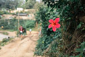 BIB: 
                            <button type="button" onclick="openModal(25309639)" class="btn btn-primary btn-sm float-right btn-popup" data-toggle="modal" data-target=".modal-high-quality">
                        <i class="fas fa-shopping-cart"></i> Add to Cart
                    </button>
                                            <button type="button" onclick="isThisMe(25309639, true)" class="btn btn-success btn-sm float-right btn-popup btn-isme hidden" data-toggle="tooltip" data-placement="bottom" title="นี่คือรูปของคุณใช่ไหม คลิกที่นี่เพื่อเอาเข้าอัลบั้ม">
                        <i class="fas fa-plus"></i> Add to album
                    </button>
                    <button type="button" onclick="isThisMe(25309639, false)" class="btn btn-warning btn-sm float-right btn-popup btn-isnotme hidden">
                        <i class="fas fa-ban"></i> Remove from album
                    </button>