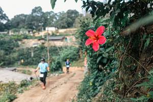 BIB: 
                            <button type="button" onclick="openModal(25309654)" class="btn btn-primary btn-sm float-right btn-popup" data-toggle="modal" data-target=".modal-high-quality">
                        <i class="fas fa-shopping-cart"></i> Add to Cart
                    </button>
                                            <button type="button" onclick="isThisMe(25309654, true)" class="btn btn-success btn-sm float-right btn-popup btn-isme hidden" data-toggle="tooltip" data-placement="bottom" title="นี่คือรูปของคุณใช่ไหม คลิกที่นี่เพื่อเอาเข้าอัลบั้ม">
                        <i class="fas fa-plus"></i> Add to album
                    </button>
                    <button type="button" onclick="isThisMe(25309654, false)" class="btn btn-warning btn-sm float-right btn-popup btn-isnotme hidden">
                        <i class="fas fa-ban"></i> Remove from album
                    </button>