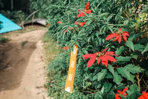 BIB: 
                            <button type="button" onclick="openModal(25309715)" class="btn btn-primary btn-sm float-right btn-popup" data-toggle="modal" data-target=".modal-high-quality">
                        <i class="fas fa-shopping-cart"></i> Add to Cart
                    </button>
                                            <button type="button" onclick="isThisMe(25309715, true)" class="btn btn-success btn-sm float-right btn-popup btn-isme hidden" data-toggle="tooltip" data-placement="bottom" title="นี่คือรูปของคุณใช่ไหม คลิกที่นี่เพื่อเอาเข้าอัลบั้ม">
                        <i class="fas fa-plus"></i> Add to album
                    </button>
                    <button type="button" onclick="isThisMe(25309715, false)" class="btn btn-warning btn-sm float-right btn-popup btn-isnotme hidden">
                        <i class="fas fa-ban"></i> Remove from album
                    </button>