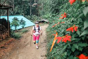 BIB: 
                            <button type="button" onclick="openModal(25309876)" class="btn btn-primary btn-sm float-right btn-popup" data-toggle="modal" data-target=".modal-high-quality">
                        <i class="fas fa-shopping-cart"></i> Add to Cart
                    </button>
                                            <button type="button" onclick="isThisMe(25309876, true)" class="btn btn-success btn-sm float-right btn-popup btn-isme hidden" data-toggle="tooltip" data-placement="bottom" title="นี่คือรูปของคุณใช่ไหม คลิกที่นี่เพื่อเอาเข้าอัลบั้ม">
                        <i class="fas fa-plus"></i> Add to album
                    </button>
                    <button type="button" onclick="isThisMe(25309876, false)" class="btn btn-warning btn-sm float-right btn-popup btn-isnotme hidden">
                        <i class="fas fa-ban"></i> Remove from album
                    </button>