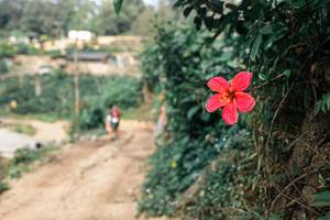 BIB: 
                            <button type="button" onclick="openModal(25309637)" class="btn btn-primary btn-sm float-right btn-popup" data-toggle="modal" data-target=".modal-high-quality">
                        <i class="fas fa-shopping-cart"></i> Add to Cart
                    </button>
                                            <button type="button" onclick="isThisMe(25309637, true)" class="btn btn-success btn-sm float-right btn-popup btn-isme hidden" data-toggle="tooltip" data-placement="bottom" title="นี่คือรูปของคุณใช่ไหม คลิกที่นี่เพื่อเอาเข้าอัลบั้ม">
                        <i class="fas fa-plus"></i> Add to album
                    </button>
                    <button type="button" onclick="isThisMe(25309637, false)" class="btn btn-warning btn-sm float-right btn-popup btn-isnotme hidden">
                        <i class="fas fa-ban"></i> Remove from album
                    </button>