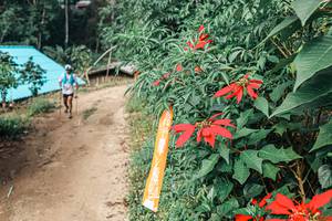 BIB: 
                            <button type="button" onclick="openModal(25309725)" class="btn btn-primary btn-sm float-right btn-popup" data-toggle="modal" data-target=".modal-high-quality">
                        <i class="fas fa-shopping-cart"></i> Add to Cart
                    </button>
                                            <button type="button" onclick="isThisMe(25309725, true)" class="btn btn-success btn-sm float-right btn-popup btn-isme hidden" data-toggle="tooltip" data-placement="bottom" title="นี่คือรูปของคุณใช่ไหม คลิกที่นี่เพื่อเอาเข้าอัลบั้ม">
                        <i class="fas fa-plus"></i> Add to album
                    </button>
                    <button type="button" onclick="isThisMe(25309725, false)" class="btn btn-warning btn-sm float-right btn-popup btn-isnotme hidden">
                        <i class="fas fa-ban"></i> Remove from album
                    </button>