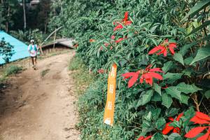 BIB: 
                            <button type="button" onclick="openModal(25309722)" class="btn btn-primary btn-sm float-right btn-popup" data-toggle="modal" data-target=".modal-high-quality">
                        <i class="fas fa-shopping-cart"></i> Add to Cart
                    </button>
                                            <button type="button" onclick="isThisMe(25309722, true)" class="btn btn-success btn-sm float-right btn-popup btn-isme hidden" data-toggle="tooltip" data-placement="bottom" title="นี่คือรูปของคุณใช่ไหม คลิกที่นี่เพื่อเอาเข้าอัลบั้ม">
                        <i class="fas fa-plus"></i> Add to album
                    </button>
                    <button type="button" onclick="isThisMe(25309722, false)" class="btn btn-warning btn-sm float-right btn-popup btn-isnotme hidden">
                        <i class="fas fa-ban"></i> Remove from album
                    </button>