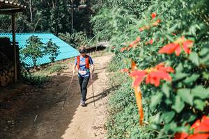 BIB: 
                            <button type="button" onclick="openModal(25309949)" class="btn btn-primary btn-sm float-right btn-popup" data-toggle="modal" data-target=".modal-high-quality">
                        <i class="fas fa-shopping-cart"></i> Add to Cart
                    </button>
                                            <button type="button" onclick="isThisMe(25309949, true)" class="btn btn-success btn-sm float-right btn-popup btn-isme hidden" data-toggle="tooltip" data-placement="bottom" title="นี่คือรูปของคุณใช่ไหม คลิกที่นี่เพื่อเอาเข้าอัลบั้ม">
                        <i class="fas fa-plus"></i> Add to album
                    </button>
                    <button type="button" onclick="isThisMe(25309949, false)" class="btn btn-warning btn-sm float-right btn-popup btn-isnotme hidden">
                        <i class="fas fa-ban"></i> Remove from album
                    </button>