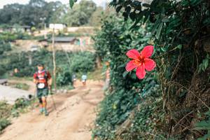 BIB: 
                            <button type="button" onclick="openModal(25309646)" class="btn btn-primary btn-sm float-right btn-popup" data-toggle="modal" data-target=".modal-high-quality">
                        <i class="fas fa-shopping-cart"></i> Add to Cart
                    </button>
                                            <button type="button" onclick="isThisMe(25309646, true)" class="btn btn-success btn-sm float-right btn-popup btn-isme hidden" data-toggle="tooltip" data-placement="bottom" title="นี่คือรูปของคุณใช่ไหม คลิกที่นี่เพื่อเอาเข้าอัลบั้ม">
                        <i class="fas fa-plus"></i> Add to album
                    </button>
                    <button type="button" onclick="isThisMe(25309646, false)" class="btn btn-warning btn-sm float-right btn-popup btn-isnotme hidden">
                        <i class="fas fa-ban"></i> Remove from album
                    </button>