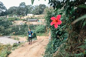 BIB: 
                            <button type="button" onclick="openModal(25309670)" class="btn btn-primary btn-sm float-right btn-popup" data-toggle="modal" data-target=".modal-high-quality">
                        <i class="fas fa-shopping-cart"></i> Add to Cart
                    </button>
                                            <button type="button" onclick="isThisMe(25309670, true)" class="btn btn-success btn-sm float-right btn-popup btn-isme hidden" data-toggle="tooltip" data-placement="bottom" title="นี่คือรูปของคุณใช่ไหม คลิกที่นี่เพื่อเอาเข้าอัลบั้ม">
                        <i class="fas fa-plus"></i> Add to album
                    </button>
                    <button type="button" onclick="isThisMe(25309670, false)" class="btn btn-warning btn-sm float-right btn-popup btn-isnotme hidden">
                        <i class="fas fa-ban"></i> Remove from album
                    </button>