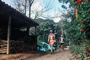 BIB: 
                            <button type="button" onclick="openModal(25300983)" class="btn btn-primary btn-sm float-right btn-popup" data-toggle="modal" data-target=".modal-high-quality">
                        <i class="fas fa-shopping-cart"></i> Add to Cart
                    </button>
                                            <button type="button" onclick="isThisMe(25300983, true)" class="btn btn-success btn-sm float-right btn-popup btn-isme hidden" data-toggle="tooltip" data-placement="bottom" title="นี่คือรูปของคุณใช่ไหม คลิกที่นี่เพื่อเอาเข้าอัลบั้ม">
                        <i class="fas fa-plus"></i> Add to album
                    </button>
                    <button type="button" onclick="isThisMe(25300983, false)" class="btn btn-warning btn-sm float-right btn-popup btn-isnotme hidden">
                        <i class="fas fa-ban"></i> Remove from album
                    </button>