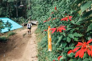 BIB: 
                            <button type="button" onclick="openModal(25309760)" class="btn btn-primary btn-sm float-right btn-popup" data-toggle="modal" data-target=".modal-high-quality">
                        <i class="fas fa-shopping-cart"></i> Add to Cart
                    </button>
                                            <button type="button" onclick="isThisMe(25309760, true)" class="btn btn-success btn-sm float-right btn-popup btn-isme hidden" data-toggle="tooltip" data-placement="bottom" title="นี่คือรูปของคุณใช่ไหม คลิกที่นี่เพื่อเอาเข้าอัลบั้ม">
                        <i class="fas fa-plus"></i> Add to album
                    </button>
                    <button type="button" onclick="isThisMe(25309760, false)" class="btn btn-warning btn-sm float-right btn-popup btn-isnotme hidden">
                        <i class="fas fa-ban"></i> Remove from album
                    </button>