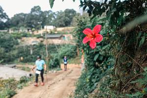 BIB: 
                            <button type="button" onclick="openModal(25309660)" class="btn btn-primary btn-sm float-right btn-popup" data-toggle="modal" data-target=".modal-high-quality">
                        <i class="fas fa-shopping-cart"></i> Add to Cart
                    </button>
                                            <button type="button" onclick="isThisMe(25309660, true)" class="btn btn-success btn-sm float-right btn-popup btn-isme hidden" data-toggle="tooltip" data-placement="bottom" title="นี่คือรูปของคุณใช่ไหม คลิกที่นี่เพื่อเอาเข้าอัลบั้ม">
                        <i class="fas fa-plus"></i> Add to album
                    </button>
                    <button type="button" onclick="isThisMe(25309660, false)" class="btn btn-warning btn-sm float-right btn-popup btn-isnotme hidden">
                        <i class="fas fa-ban"></i> Remove from album
                    </button>