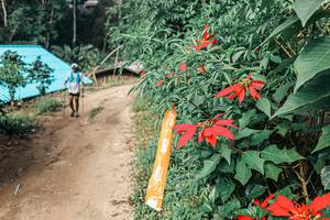 BIB: 
                            <button type="button" onclick="openModal(25309726)" class="btn btn-primary btn-sm float-right btn-popup" data-toggle="modal" data-target=".modal-high-quality">
                        <i class="fas fa-shopping-cart"></i> Add to Cart
                    </button>
                                            <button type="button" onclick="isThisMe(25309726, true)" class="btn btn-success btn-sm float-right btn-popup btn-isme hidden" data-toggle="tooltip" data-placement="bottom" title="นี่คือรูปของคุณใช่ไหม คลิกที่นี่เพื่อเอาเข้าอัลบั้ม">
                        <i class="fas fa-plus"></i> Add to album
                    </button>
                    <button type="button" onclick="isThisMe(25309726, false)" class="btn btn-warning btn-sm float-right btn-popup btn-isnotme hidden">
                        <i class="fas fa-ban"></i> Remove from album
                    </button>