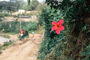 BIB: 
                            <button type="button" onclick="openModal(25309642)" class="btn btn-primary btn-sm float-right btn-popup" data-toggle="modal" data-target=".modal-high-quality">
                        <i class="fas fa-shopping-cart"></i> Add to Cart
                    </button>
                                            <button type="button" onclick="isThisMe(25309642, true)" class="btn btn-success btn-sm float-right btn-popup btn-isme hidden" data-toggle="tooltip" data-placement="bottom" title="นี่คือรูปของคุณใช่ไหม คลิกที่นี่เพื่อเอาเข้าอัลบั้ม">
                        <i class="fas fa-plus"></i> Add to album
                    </button>
                    <button type="button" onclick="isThisMe(25309642, false)" class="btn btn-warning btn-sm float-right btn-popup btn-isnotme hidden">
                        <i class="fas fa-ban"></i> Remove from album
                    </button>