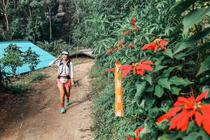 BIB: 
                            <button type="button" onclick="openModal(25309785)" class="btn btn-primary btn-sm float-right btn-popup" data-toggle="modal" data-target=".modal-high-quality">
                        <i class="fas fa-shopping-cart"></i> Add to Cart
                    </button>
                                            <button type="button" onclick="isThisMe(25309785, true)" class="btn btn-success btn-sm float-right btn-popup btn-isme hidden" data-toggle="tooltip" data-placement="bottom" title="นี่คือรูปของคุณใช่ไหม คลิกที่นี่เพื่อเอาเข้าอัลบั้ม">
                        <i class="fas fa-plus"></i> Add to album
                    </button>
                    <button type="button" onclick="isThisMe(25309785, false)" class="btn btn-warning btn-sm float-right btn-popup btn-isnotme hidden">
                        <i class="fas fa-ban"></i> Remove from album
                    </button>